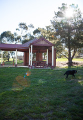 Outdoor park building with black dog and green grass