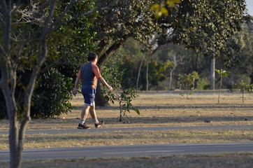 A beautiful view of people walking in Brasilia park, Brazil