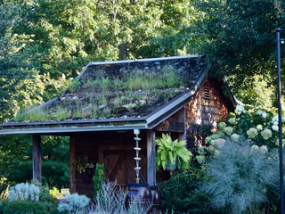 A Roof Top Garden on a Brown Shingle-style Cottage