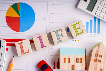 LIFE ライフ