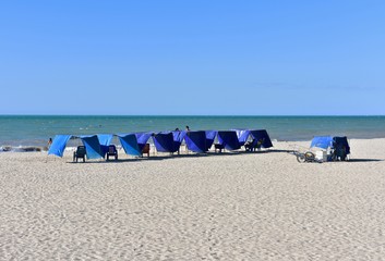 Beach chairs and umbrellas on the beach. 