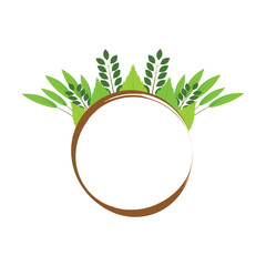 plant ornament object