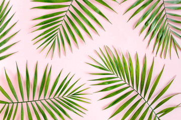 Obraz premium Texture tropical green palm leaves on pink background. Flat lay, top view