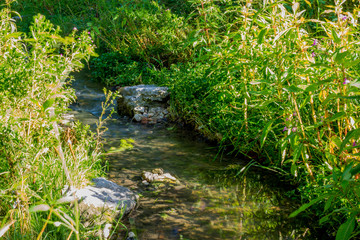 nature