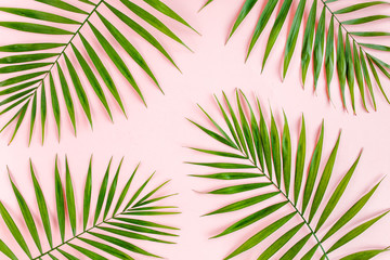 Obraz premium Texture tropical green palm leaves on pink background. Flat lay, top view