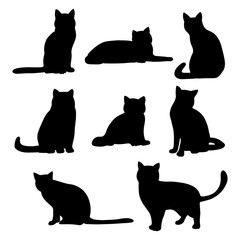 Isolated cats on the white background. Cats silhouettes. Vector EPS 10.