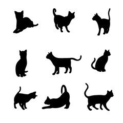 Isolated cats on the white background. Cats silhouettes. Vector EPS 10.