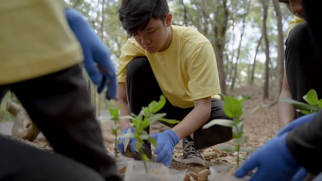 two young man volunteers cleaning rubbish from park together