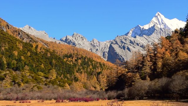 Beautiful view of snow capped Mountain and blue sky in autumn  in Yading Nature Reserve
