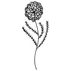 Line art flowers outline icon in hand drawn style. Vintage floral icon, great design for any purposes. Black flowers on white background. Ink line drawn tropical leaves