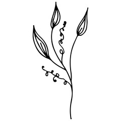 Line art flowers outline icon in hand drawn style. Vintage floral icon, great design for any purposes. Black flowers on white background. Ink line drawn tropical leaves