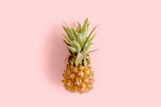 Top view pineapple isolated pink background with copy space for text. Template blog social media. Food concept. Minimal style. flat lay