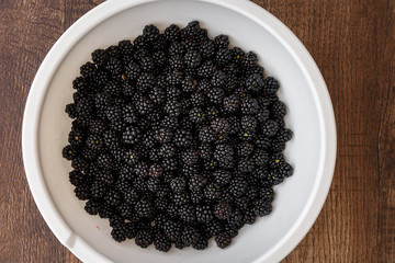 Fresh picked blackberries in a large white plastic bowl on a wood table
