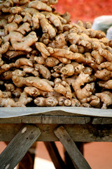 Spices. Galangal - Bangkok