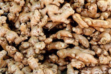 Spices. Galangal - Bangkok