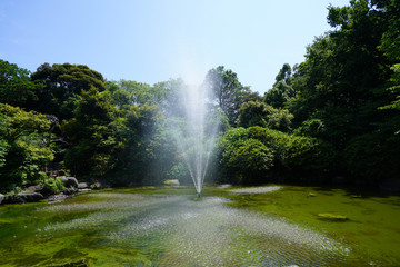Fototapeta premium 噴水公園