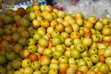 Fruit. Putsa - Uthai Thani