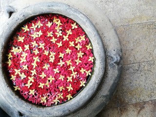 red and yellow spike flower floating on water in the old style earthen ware 