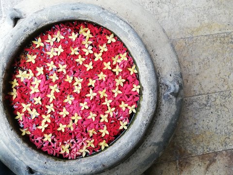 red and yellow spike flower floating on water in the old style earthen ware 