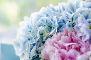 Bouquet of flowers close-up. Peonies, hydrangea.
