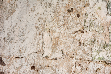 Texture of a concrete wall with cracks and scratches which can be used as a background
