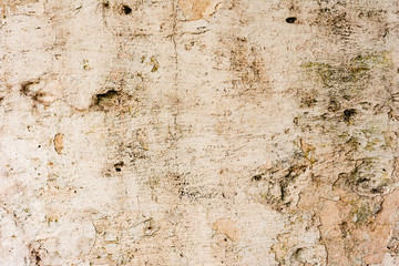 Texture of a concrete wall with cracks and scratches which can be used as a background