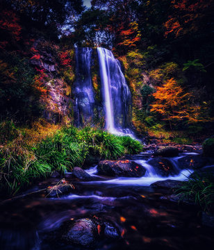 Beauty of Nature
