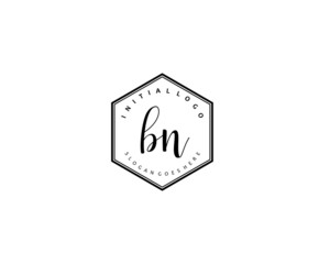 BN Initial handwriting logo vector