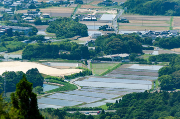 鷹取山　佐賀平野の田んぼ