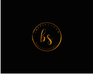 BS Initial handwriting logo vector