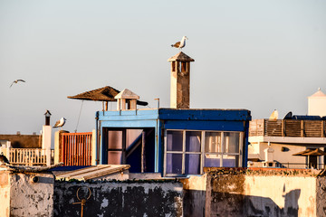 house on the beach, photo as background