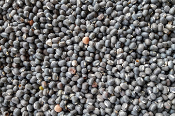 background of black Pulses 