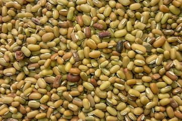 Abstract background of yellow chips 