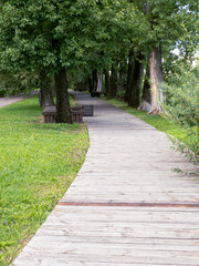 wooden pathway through summer park