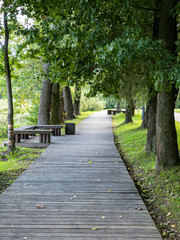 wooden sidewalk with benches in summer park