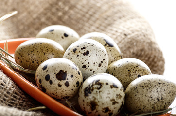 Obraz premium Fresh organic quail eggs in orange clay plate on wooden rustic kitchen table. Space for text