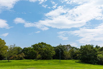 Fototapeta na wymiar (埼玉県-風景)青空の下の自然公園風景３
