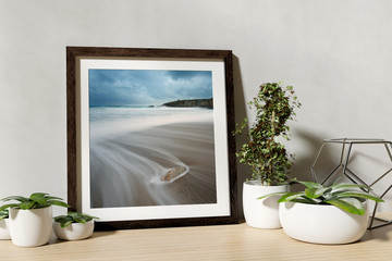 Frame mock up with plants on a shelf - 3d rendering