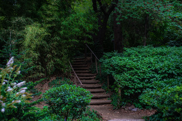Rural landscape with old stairway