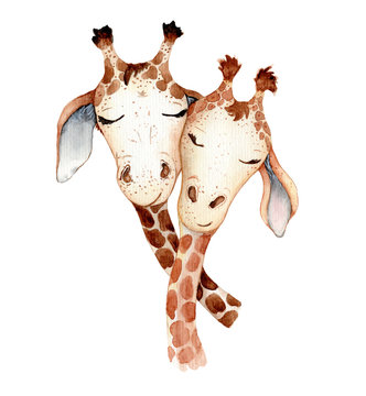 Cute giraffes couple cartoon watercolor illustration animal