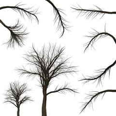 Tree branch background. 3D Illustration. White background isolate. Nature and Gardens design.