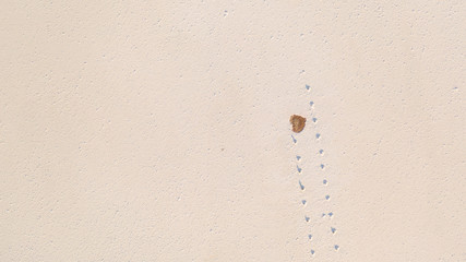 High quality Salt texture of the desert. View from the drone to the salt lake Tuzla, near the Rybakivka resort, in Ukraine.