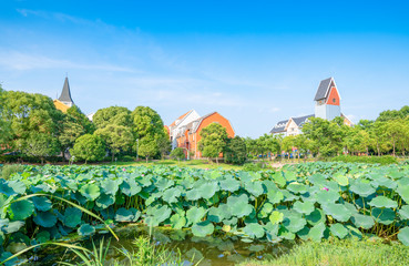 Lotus Fields and the Building behind Meilan Lake Park, Shanghai, China
