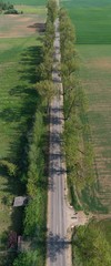 Rural road with old tree alley in nature park, vertical pano, aerial