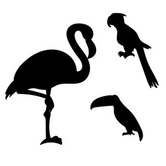 Set of tropical birds. Silhouette of flamingo, parrot and toucan