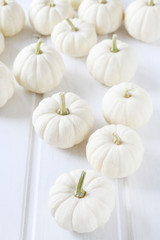 Baby boo pumpkins on white wooden table.