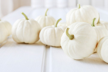 Baby boo pumpkins on white wooden table.
