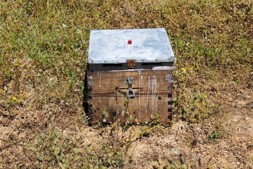 Fototapete bei efototapeten.de bestellen   