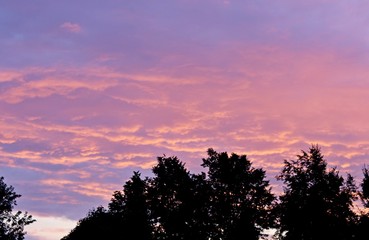 Fototapeta na wymiar Beautiful clouds pink sunset summer evening beauty