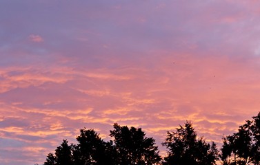 Fototapeta premium Beautiful clouds pink sunset summer evening beauty